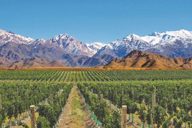 Valle de Uco